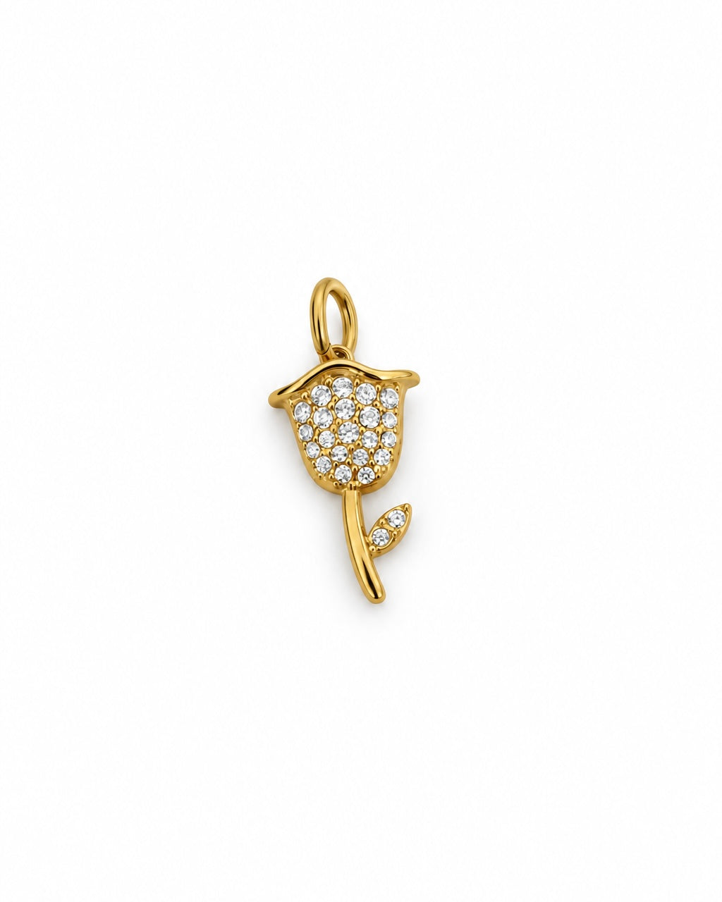 Charm Tulipano Sparkiling