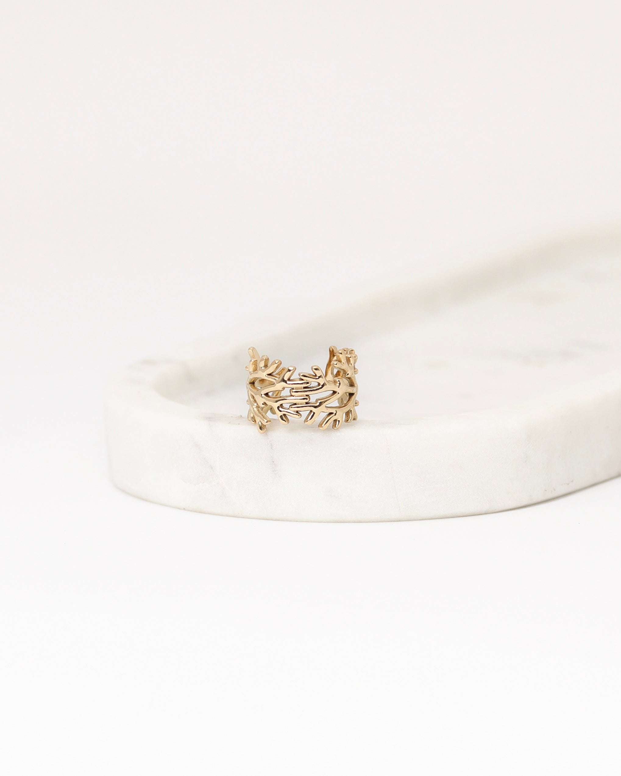 Anello Corall