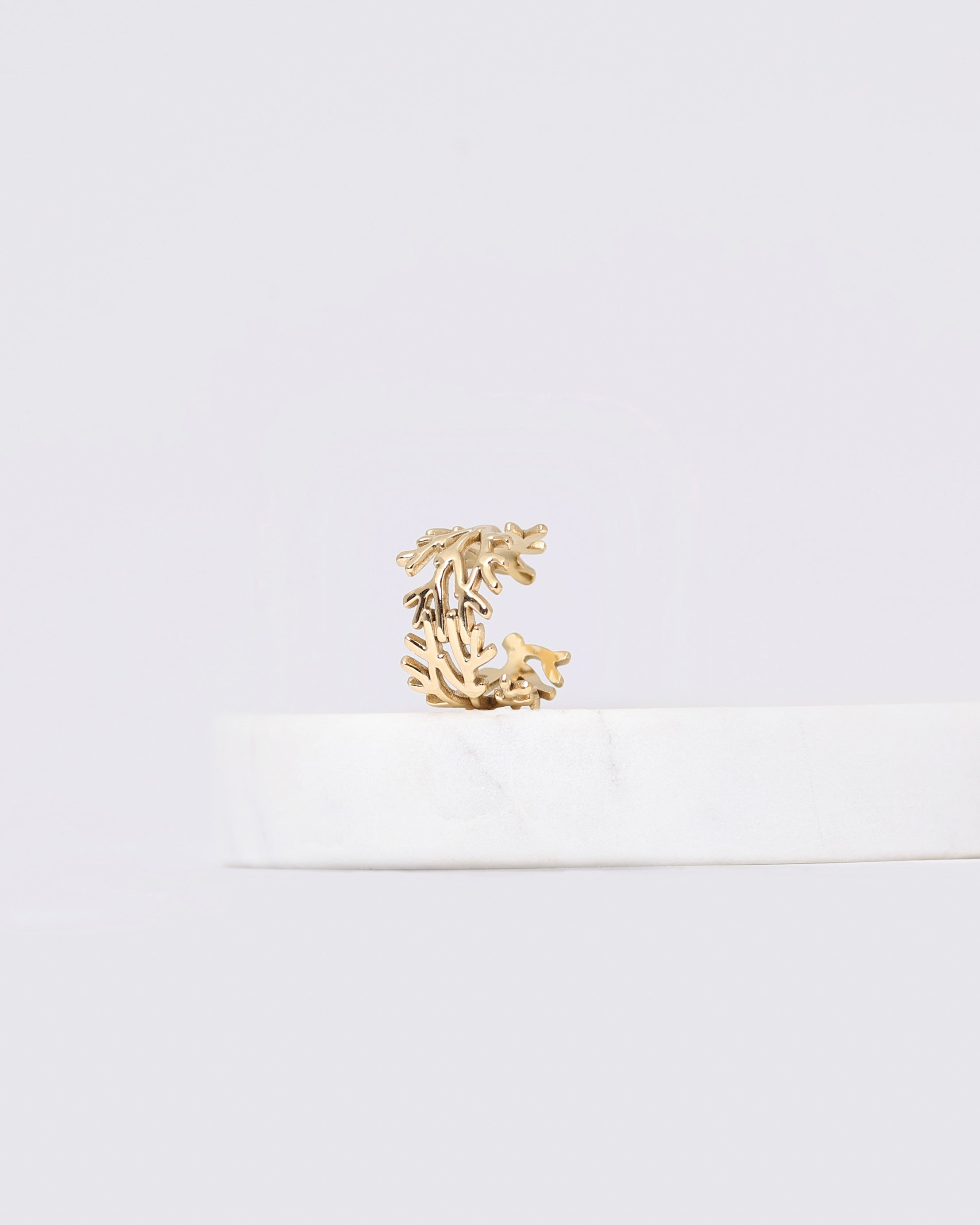 Anello Corall