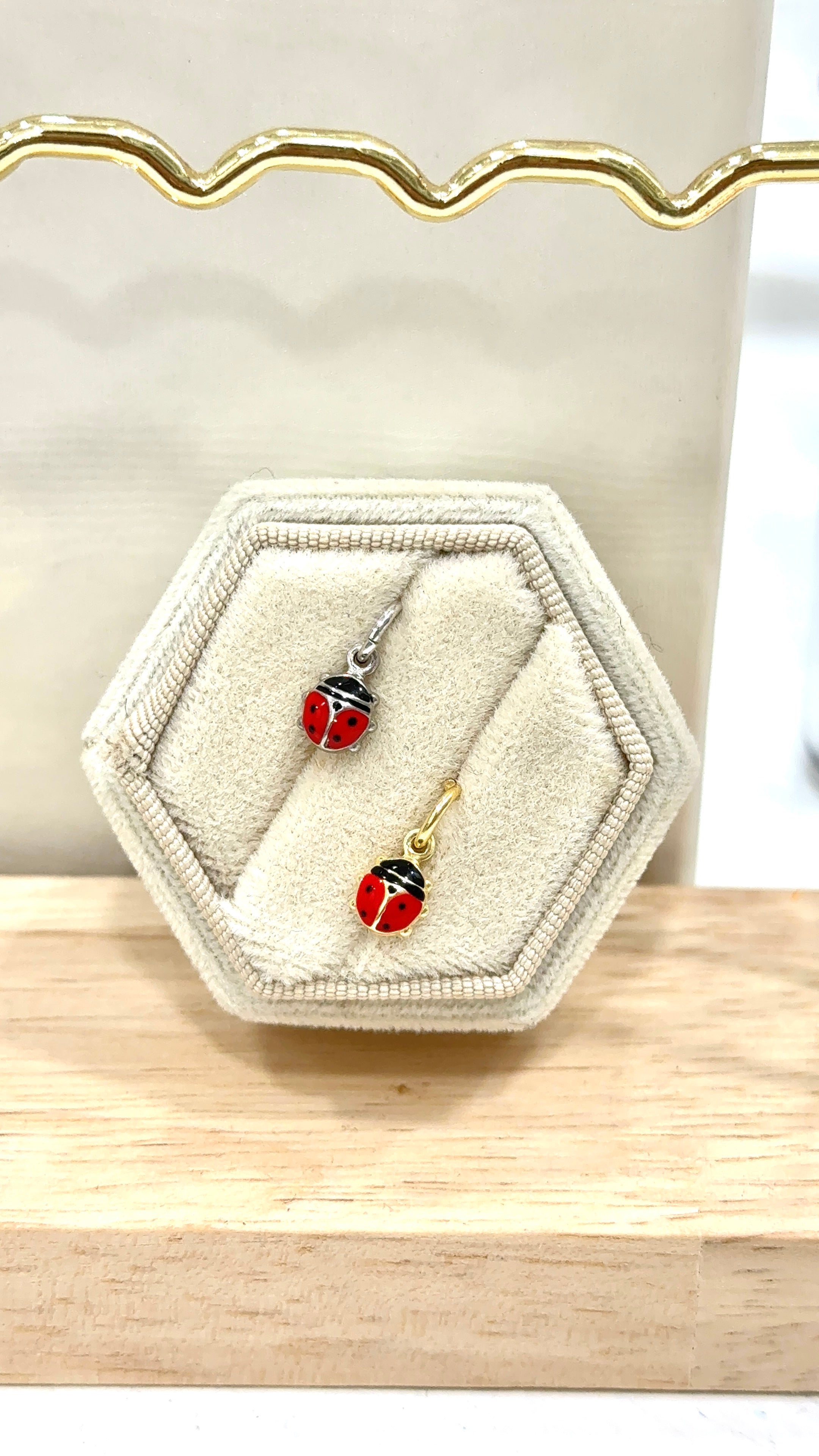Charm coccinella 🐞 portafortuna